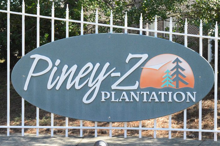 PineyZ-4